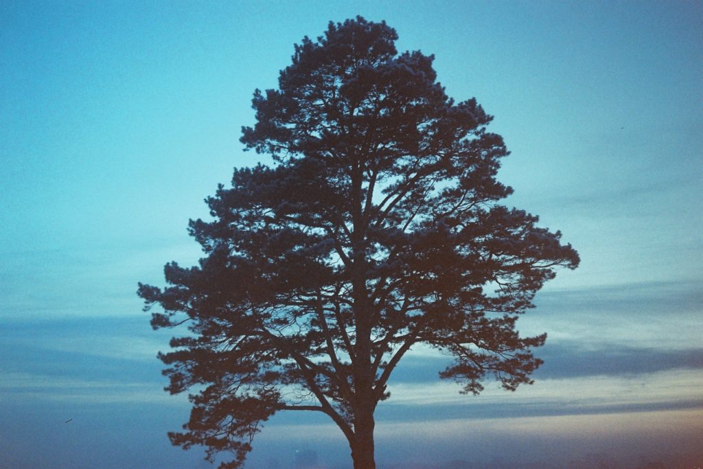 чудья плёнка 35мм ижевск ижкар