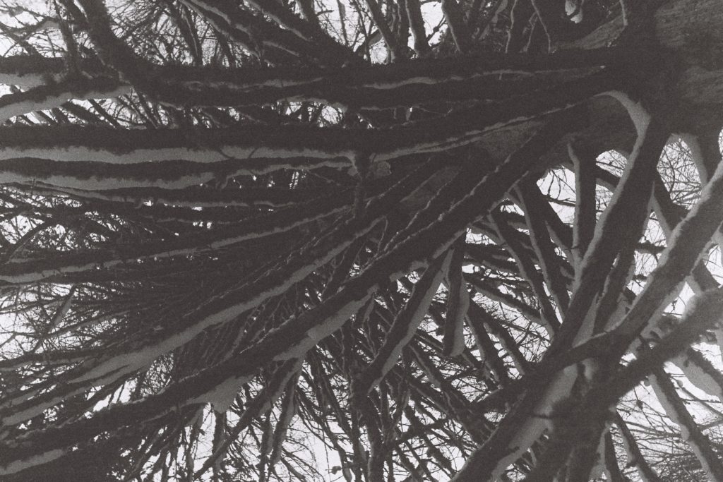 чудья писпу 35мм кыз пленка