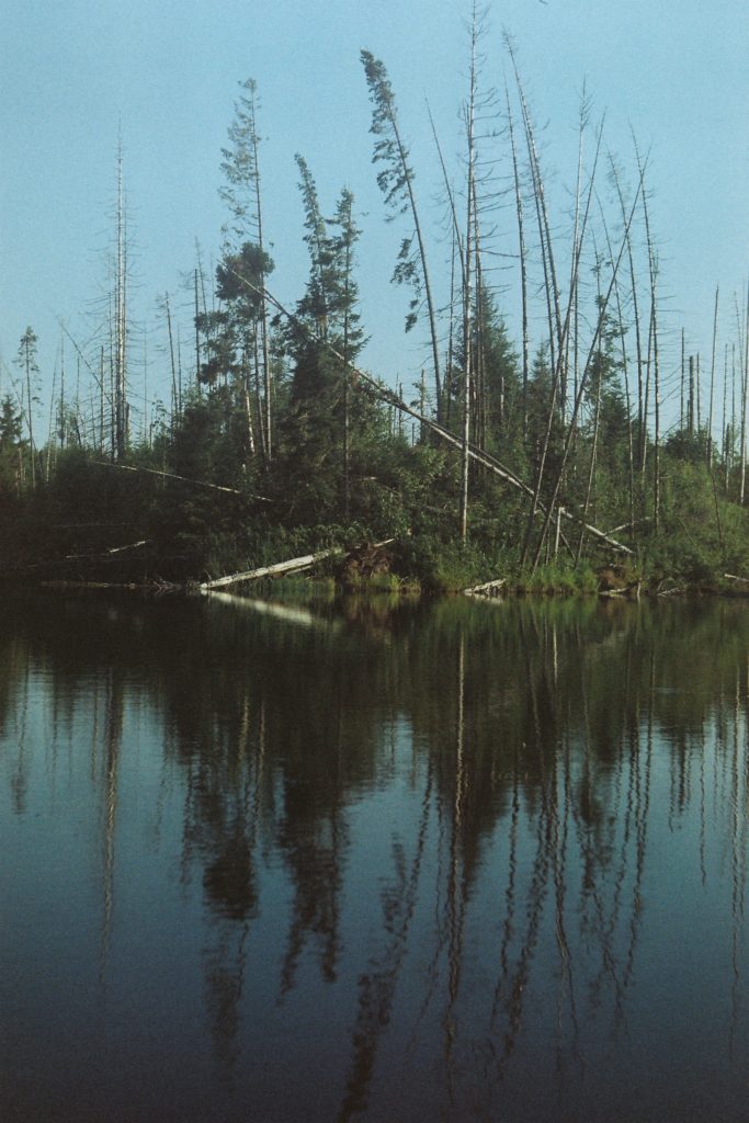 шур чудья 35мм гужем нюлэс