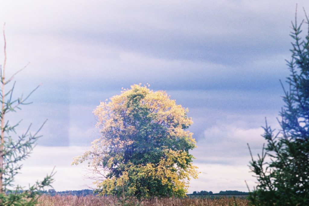 чудья писпу 35мм пленка удмуртия природа осень фото